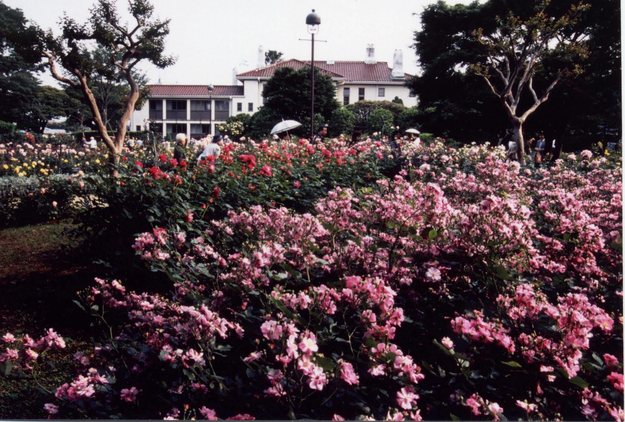 Sotetsu Fresa Inn Yokohama Totsuka Exteriér fotografie